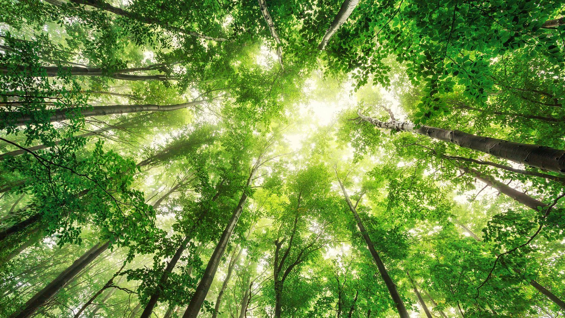 proyectos de construcción