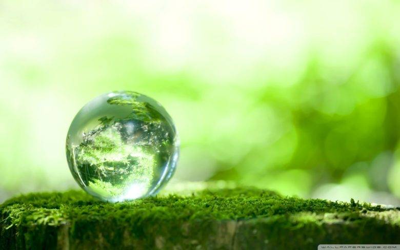 inmobiliaria y construcción